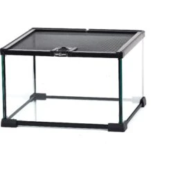 REPTI ZOO Mini Glass Reptile Terrarium Tank