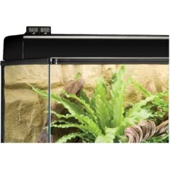 Exo Terra LED Reptile Hygrometer 9 Exo Terra LED Reptile Hygrometer -Pet Supplies Store 307707 PT3. AC SS1800 V1624488238