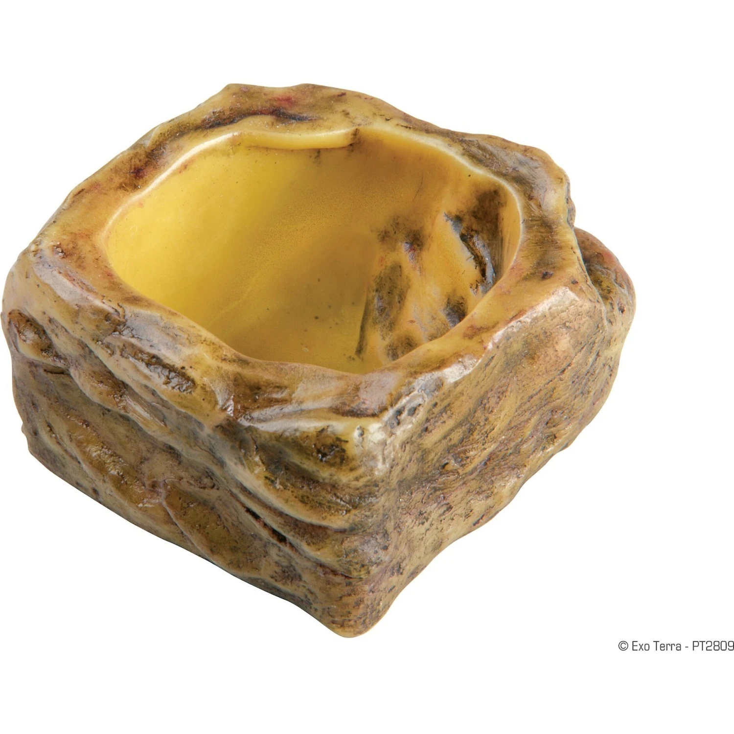 Exo Terra Invertebrate Reptile Water Dish 4 Exo Terra Invertebrate Reptile Water Dish - Image 2