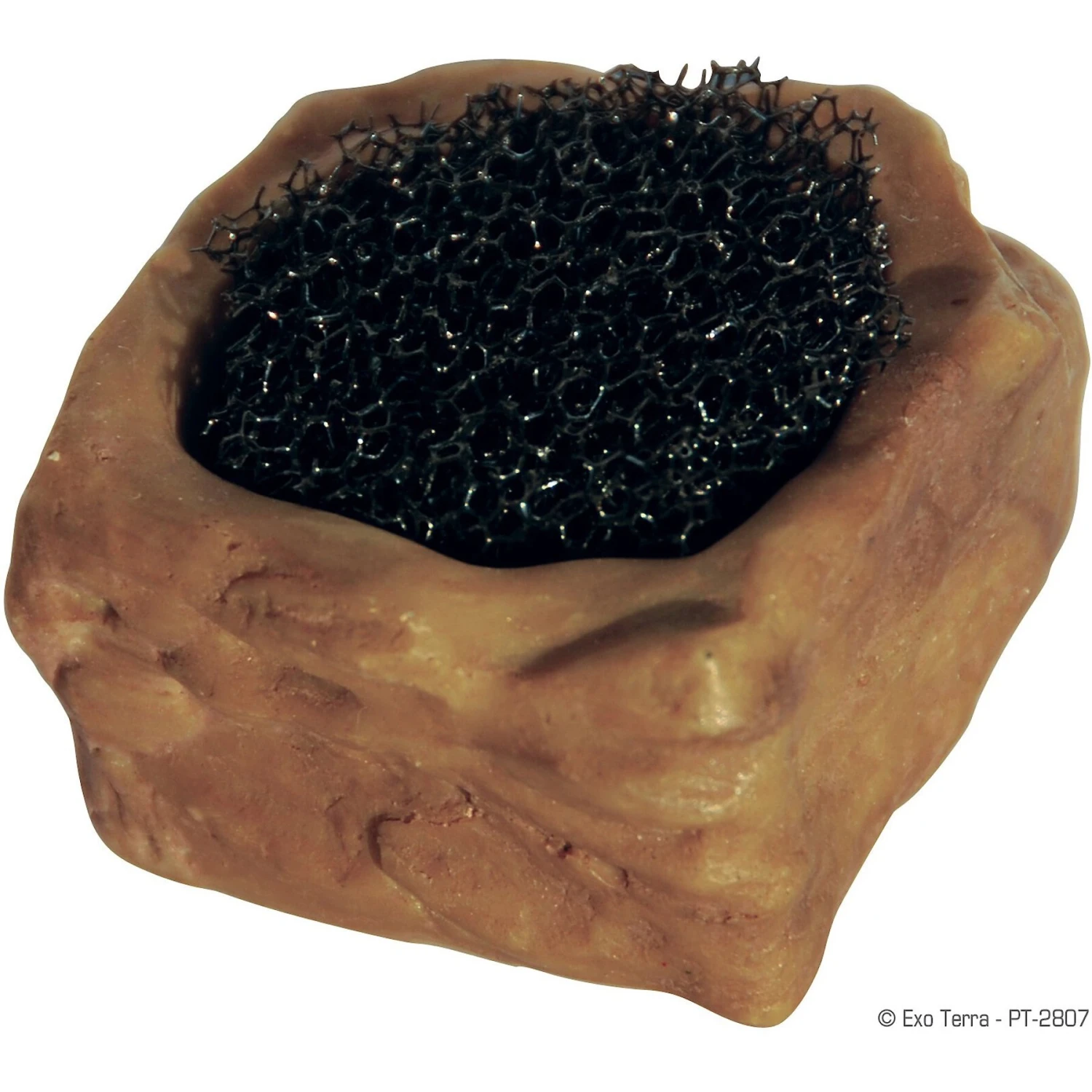 Exo Terra Invertebrate Reptile Water Dish 5 Exo Terra Invertebrate Reptile Water Dish - Image 3