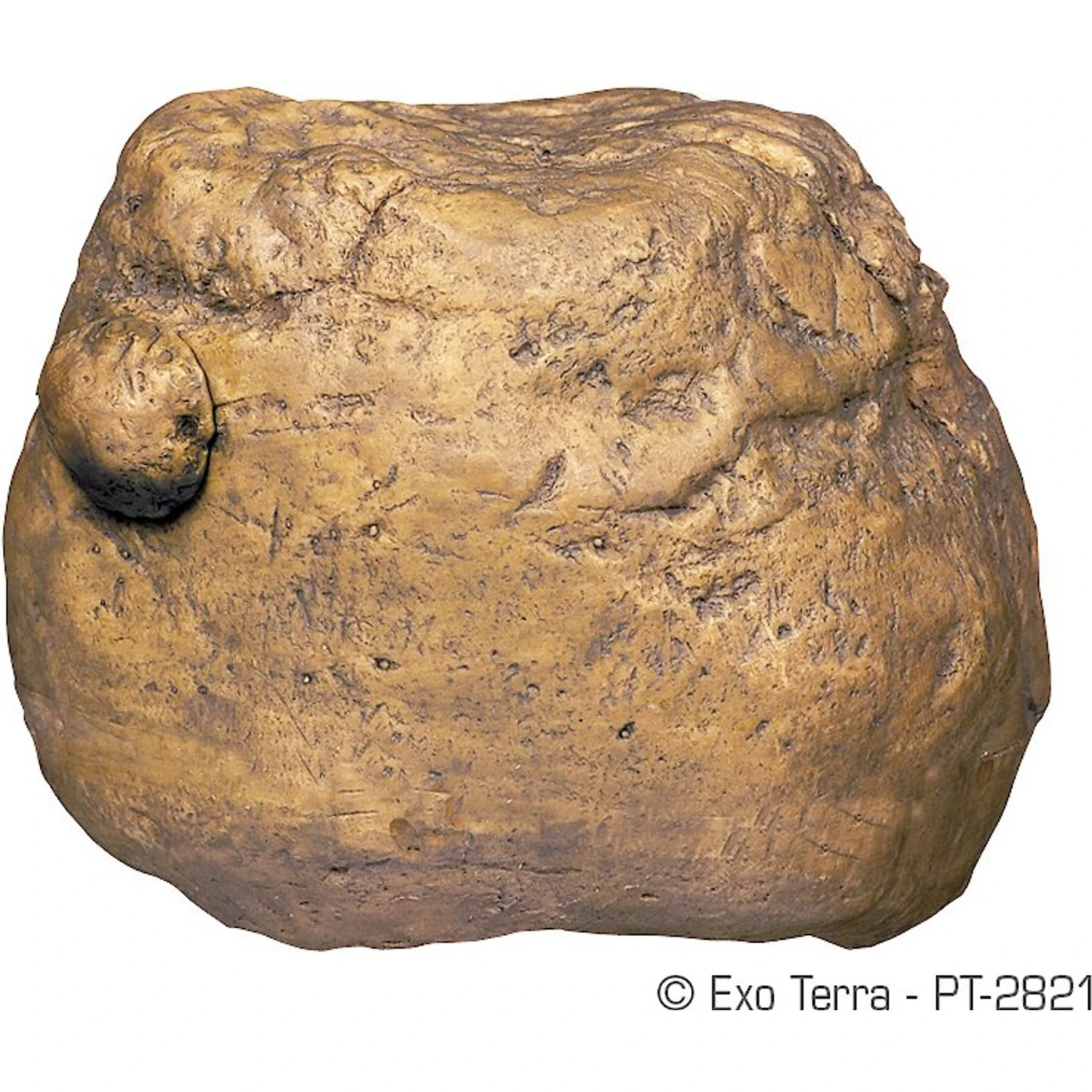 Exo Terra Cricket Feeder 4 Exo Terra Cricket Feeder - Image 2