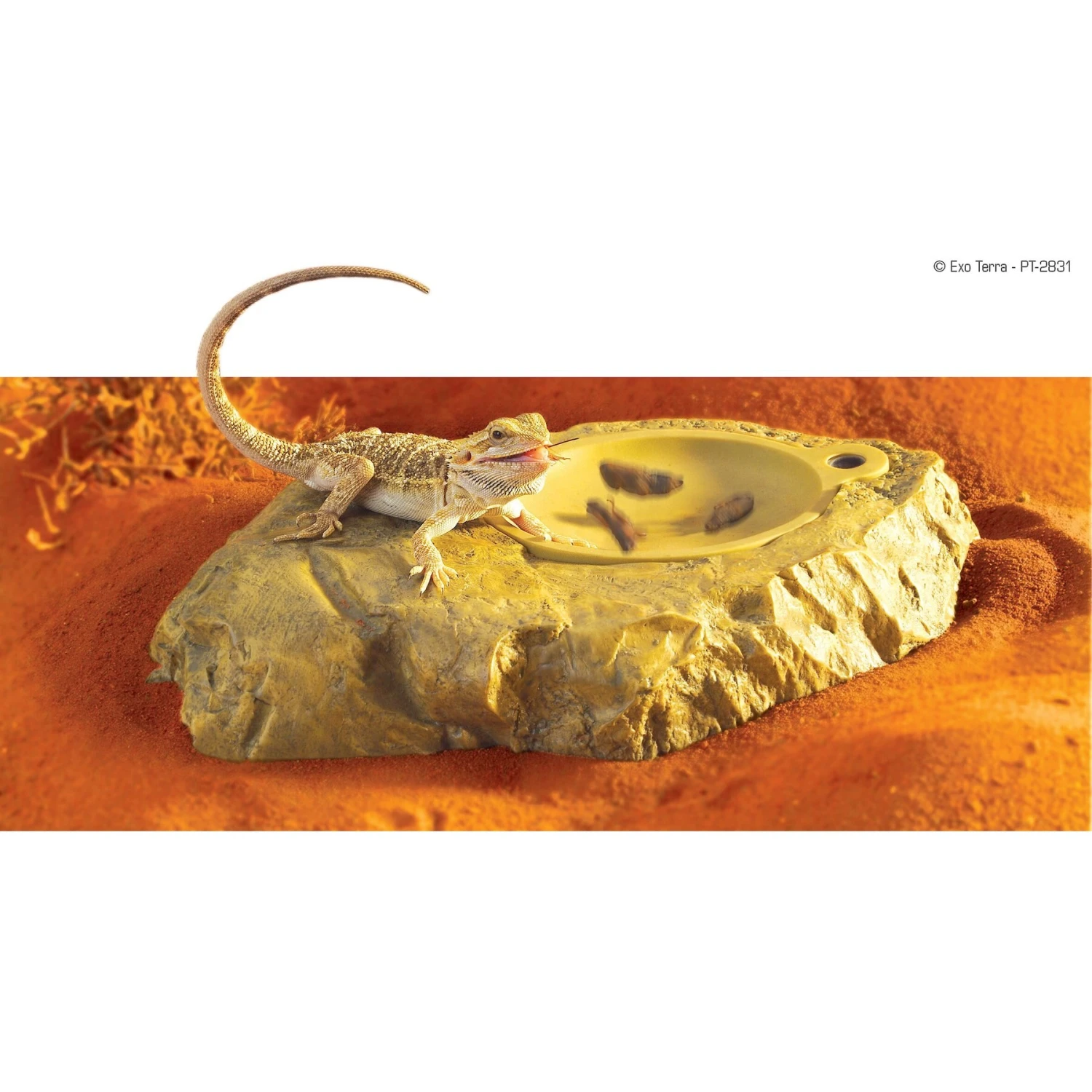 EXO TERRA ExoTerra Vivicator Vibrating Reptile Dish 5 EXO TERRA ExoTerra Vivicator Vibrating Reptile Dish - Image 3