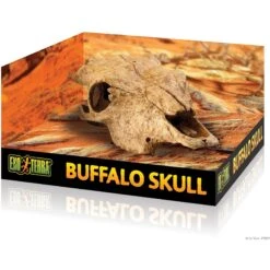Exo Terra Buffalo Skull Terrarium Décor -Pet Supplies Store 307760 PT2. AC SS1800 V1669097101