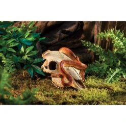 Exo Terra Buffalo Skull Terrarium Décor -Pet Supplies Store 307760 PT3. AC SS1800 V1669097982