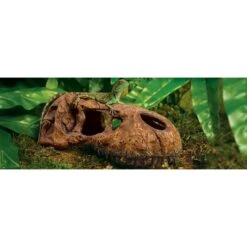 Exo Terra T-Rex Skull Reptile Terrarium Décor -Pet Supplies Store 307762 PT2. AC SS1800 V1688651612