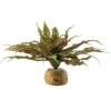 Exo Terra Star Cactus Reptile Terrarium Plant