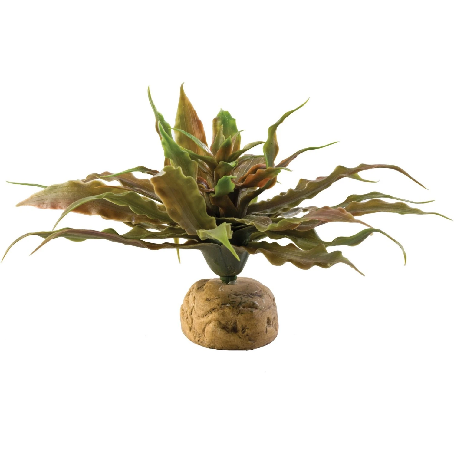 Exo Terra Star Cactus Reptile Terrarium Plant 3 Exo Terra Star Cactus Reptile Terrarium Plant