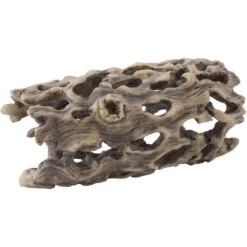 Exo Terra Cholla Cactus Skeleton Reptile Terrarium Plant