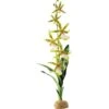 Exo Terra Spider Orchid Reptile Terrarium Plant -Pet Supplies Store 307809 MAIN. AC SS1800 V1624491801
