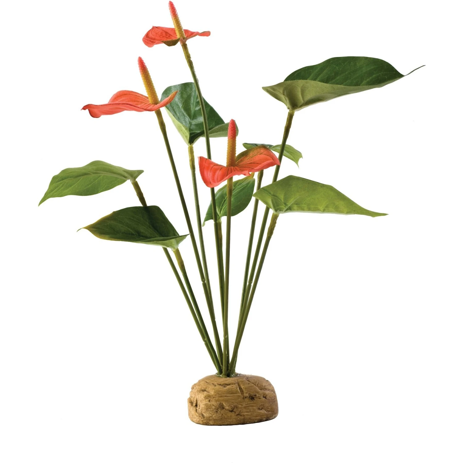 Exo Terra Anthurium Bush Reptile Terrarium Plant 3 Exo Terra Anthurium Bush Reptile Terrarium Plant
