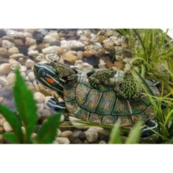 Exo Terra Turtle-Turtle Island Reptile Terrarium Ornament -Pet Supplies Store 307825 PT1. AC SS1800 V1624491751