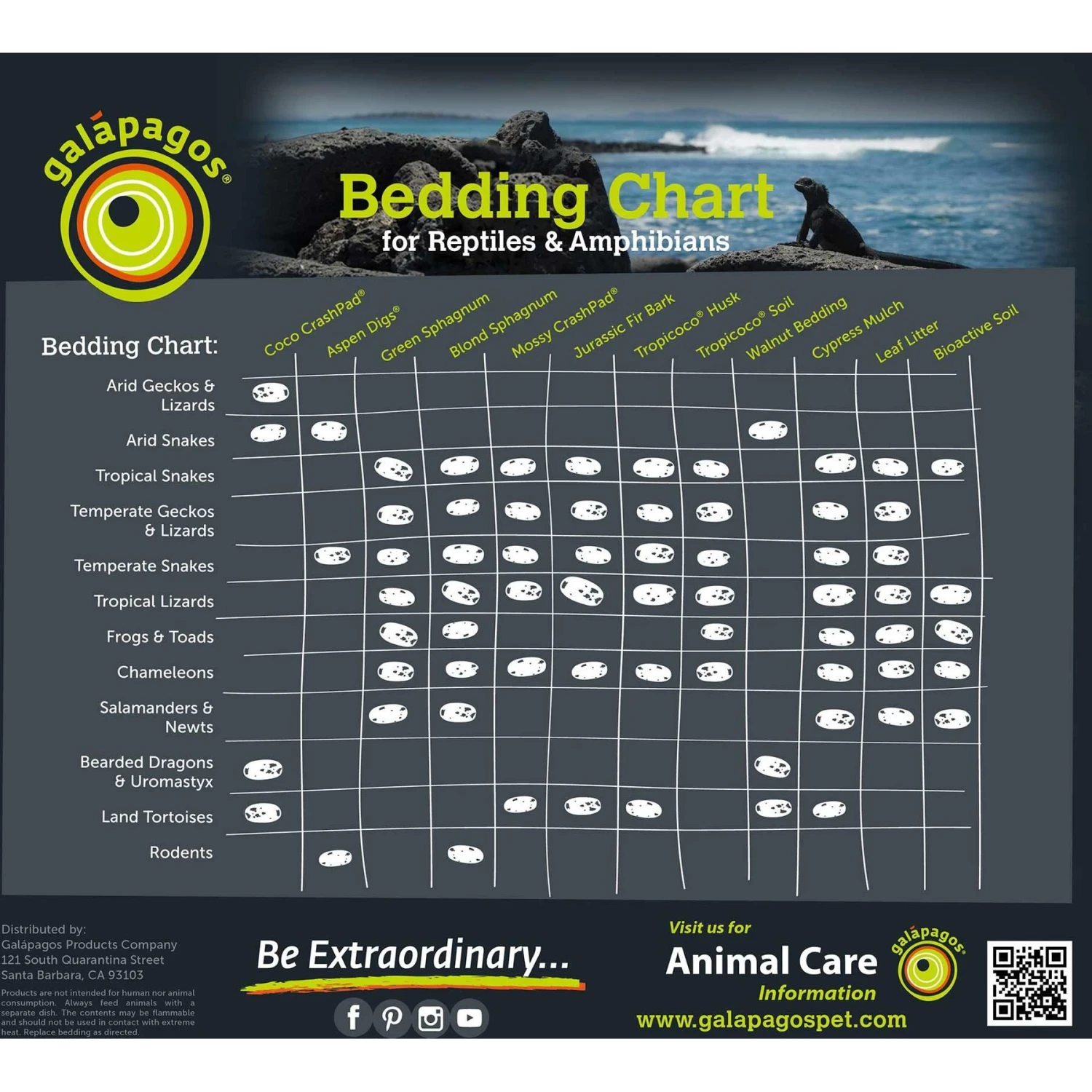 Galapagos Jurassic Fir Bark Reptile Bedding 9 Galapagos Jurassic Fir Bark Reptile Bedding - Image 7