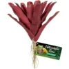 Zoo Med Naturalistic Flora Fireball Bromeliad Artificial Plant -Pet Supplies Store 318523 MAIN. AC SS1800 V1628199683