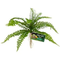 Zoo Med Naturalistic Flora Sword Fern Artificial Plant