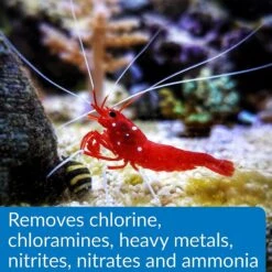 API Aqua Essential Aquarium Treatment 12 API Aqua Essential Aquarium Treatment -Pet Supplies Store 322746 PT3. AC SS1800 V1633989383