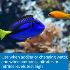 API Aqua Essential Aquarium Treatment 14 API Aqua Essential Aquarium Treatment -Pet Supplies Store 322746 PT5. AC SS1800 V1633990932