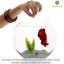SunGrow Betta Fish Mineral Balls Calcium Supplement For Shrimp & Crayfish Aquarium Decor & Water Conditioner Accessories -Pet Supplies Store 326829 PT3. AC SS1800 V1691603948