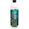 Fritz Algae Clean Out Aquarium Water Treatment