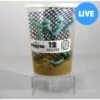 Symton Hornworms Reptile Food, 12 Count -Pet Supplies Store 327713 MAIN. AC SS1800 V1677262006