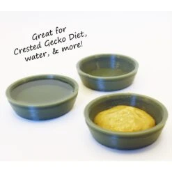 Stroodies Crested Gecko Bowl, 3 Count -Pet Supplies Store 327742 PT3. AC SS1800 V1633365528