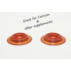 Stroodies Leopard Geckos Calcium Dish -Pet Supplies Store 327781 PT3. AC SS1800 V1632365288