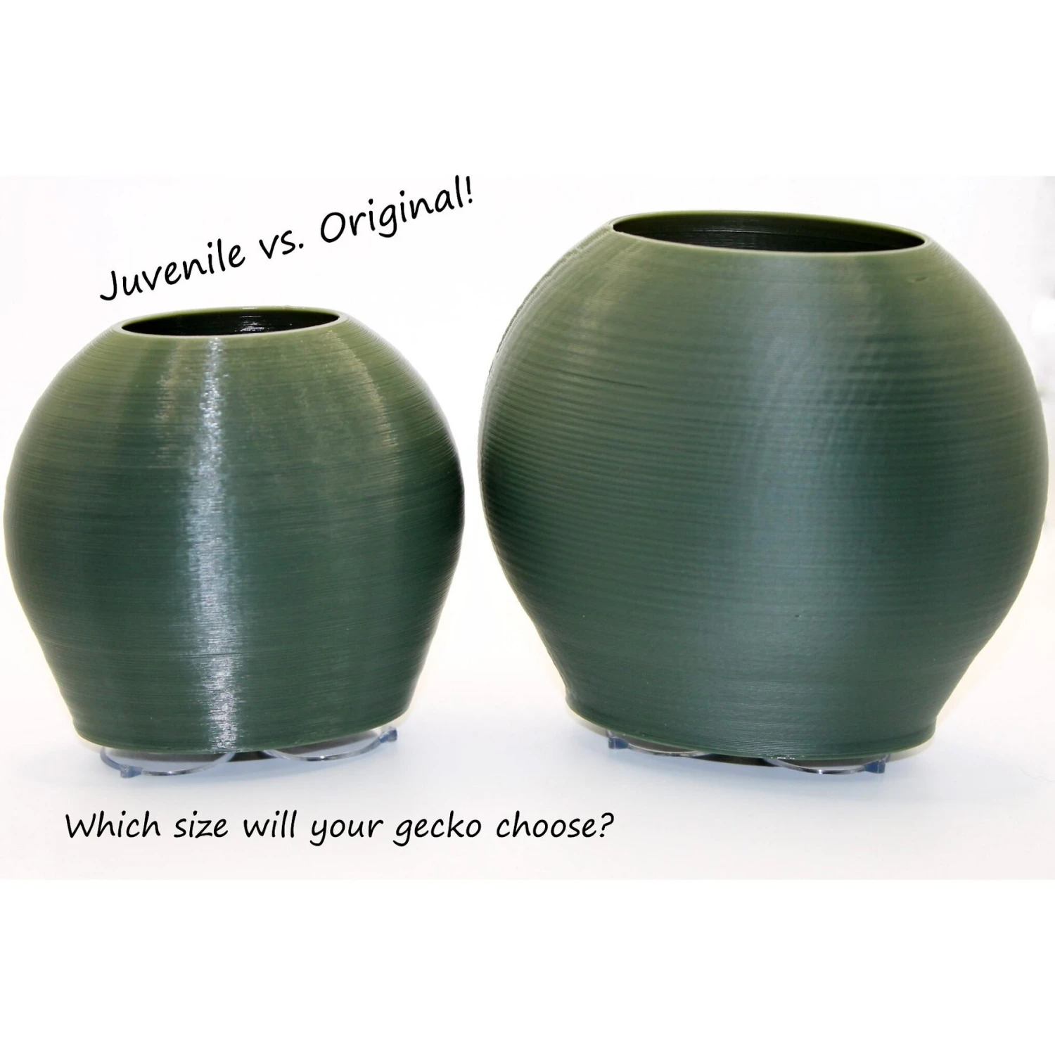 Stroodies BubbleLoft Gecko Hideout 8 Stroodies BubbleLoft Gecko Hideout - Image 6