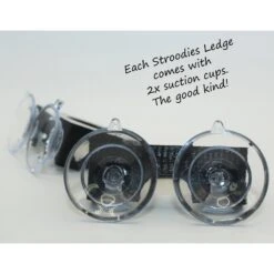 Stroodies 1-slot Crested Gecko Feeding MicroLedge -Pet Supplies Store 327854 PT3. AC SS1800 V1632365319