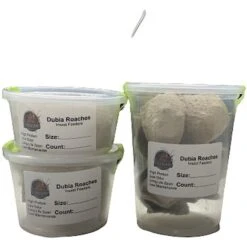 ABDragons Medium Dubia Roaches Small Pet & Reptile Food -Pet Supplies Store 328382 PT3. AC SS1800 V1634772072