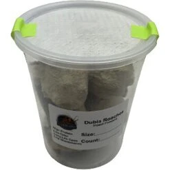 ABDragons Medium Dubia Roaches Small Pet & Reptile Food -Pet Supplies Store 328382 PT4. AC SS1800 V1634772687