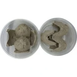 ABDragons Medium Dubia Roaches Small Pet & Reptile Food -Pet Supplies Store 328382 PT5. AC SS1800 V1634767583