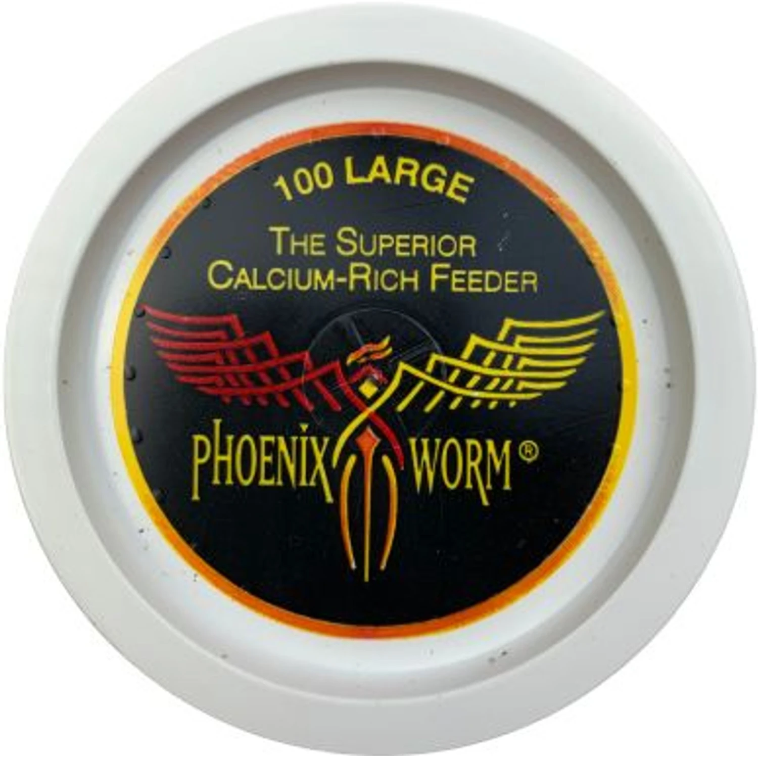 ABDragons Live Phoenix Worms Reptile, Bird, Fish & Small Pet Food 6 ABDragons Live Phoenix Worms Reptile, Bird, Fish & Small Pet Food - Image 4
