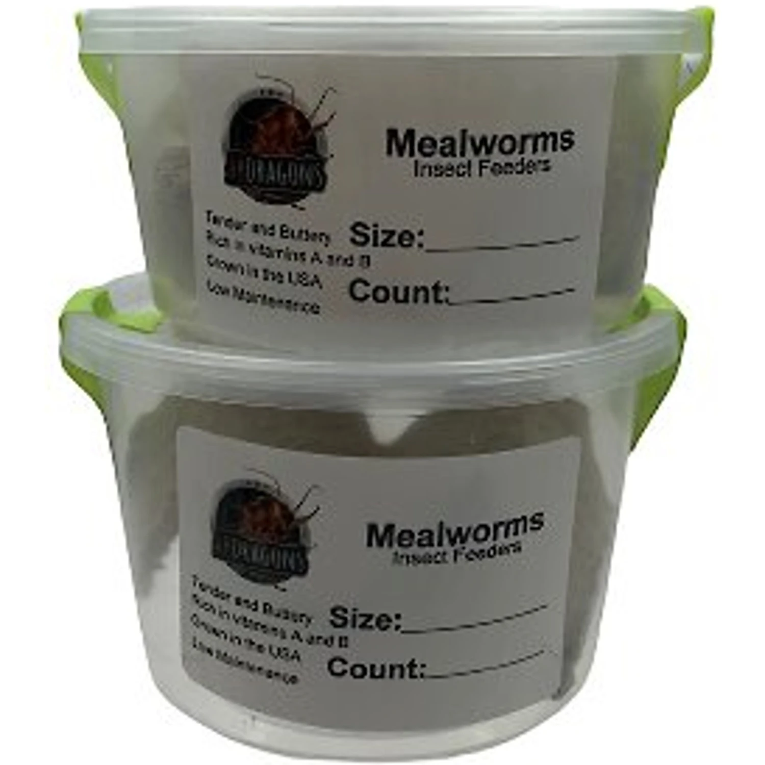 ABDragons Live Mealworms Reptile, Bird, Fish & Small Pet Food 4 ABDragons Live Mealworms Reptile, Bird, Fish & Small Pet Food - Image 2