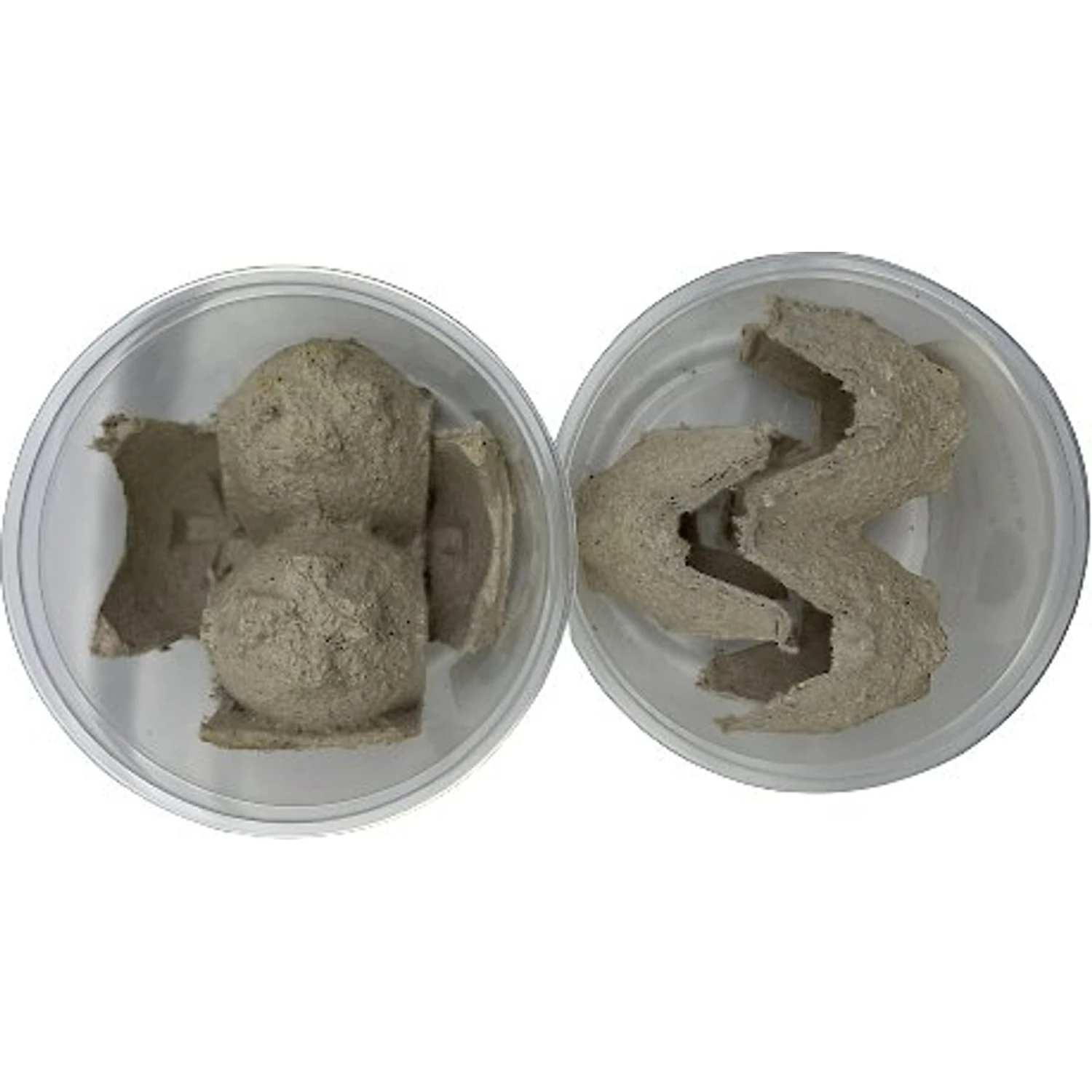 ABDragons Live Mealworms Reptile, Bird, Fish & Small Pet Food 5 ABDragons Live Mealworms Reptile, Bird, Fish & Small Pet Food - Image 3