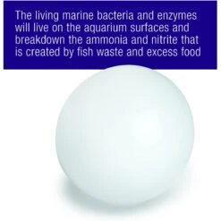 Coralife Marine PURE Water Care Bacteria Supplement, 4 Pack 14 Coralife Marine PURE Water Care Bacteria Supplement, 4 Pack -Pet Supplies Store 364068 PT3. AC SS1800 V1643908338