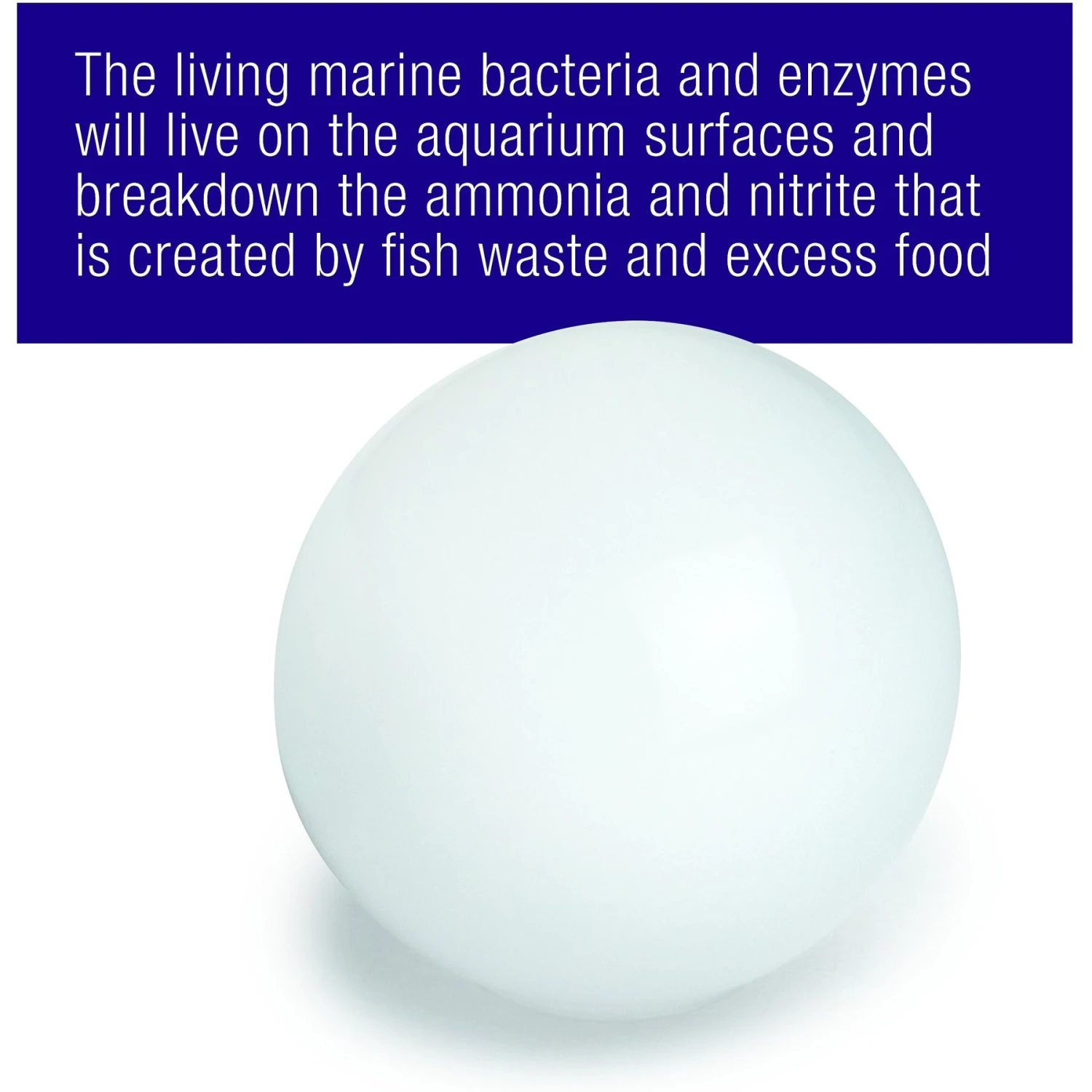 Coralife Marine PURE Water Care Bacteria Supplement, 4 Pack 6 Coralife Marine PURE Water Care Bacteria Supplement, 4 Pack - Image 4