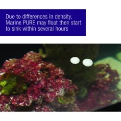 Coralife Marine PURE Water Care Bacteria Supplement, 4 Pack 16 Coralife Marine PURE Water Care Bacteria Supplement, 4 Pack -Pet Supplies Store 364068 PT5. AC SS1800 V1643908384