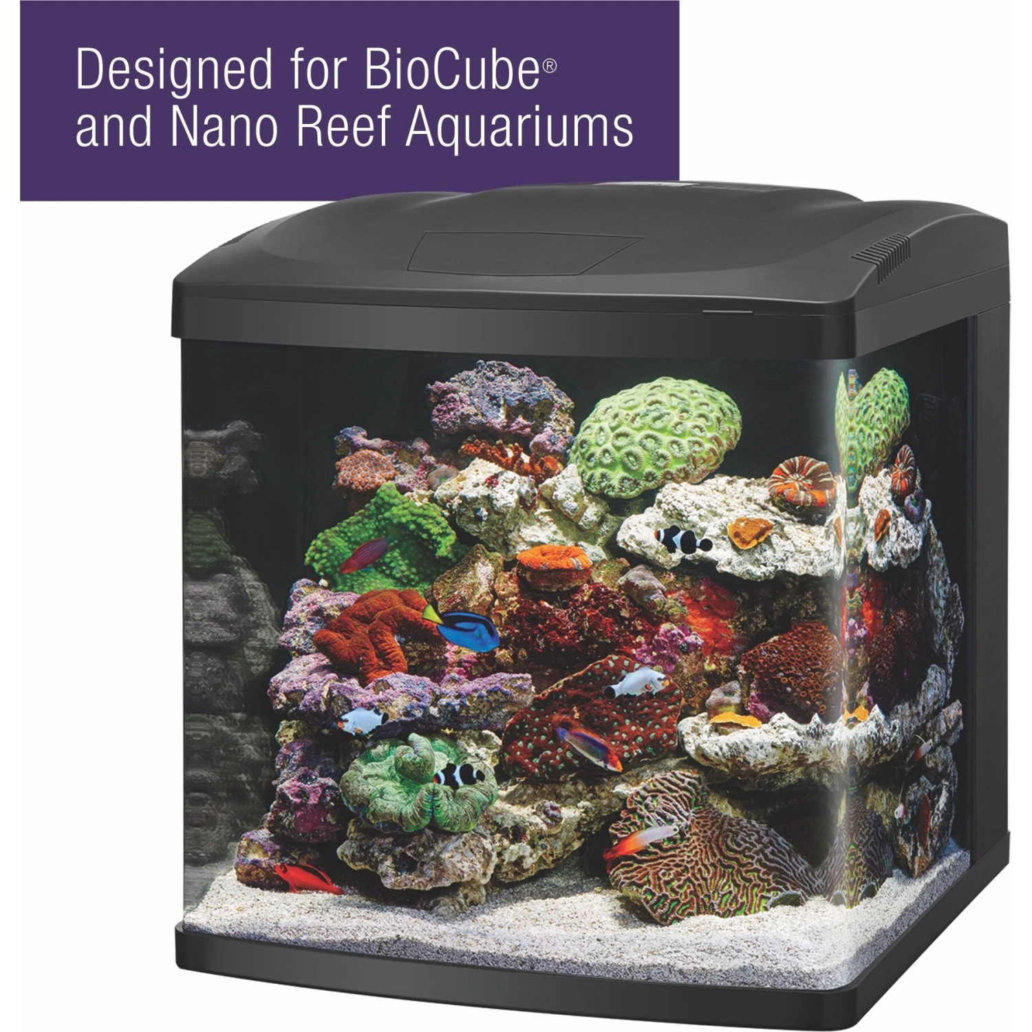 Coralife Marine PURE Water Care Bacteria Supplement, 4 Pack 9 Coralife Marine PURE Water Care Bacteria Supplement, 4 Pack - Image 7