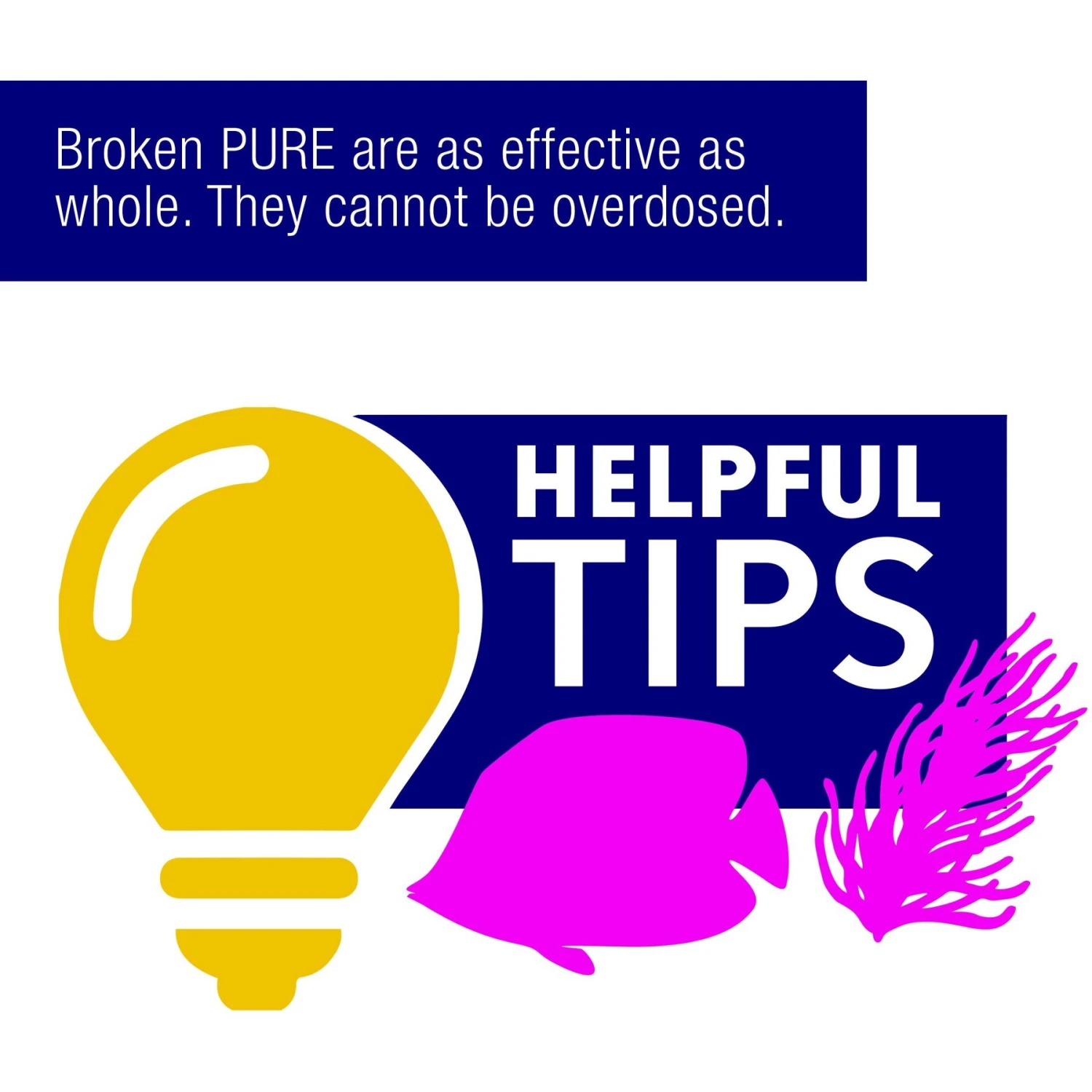 Coralife Marine PURE Water Care Bacteria Supplement, 4 Pack 11 Coralife Marine PURE Water Care Bacteria Supplement, 4 Pack - Image 9