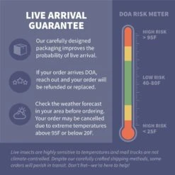 Ovipost Banded Adult Live Feed Crickets Reptile Food -Pet Supplies Store 367446 PT3. AC SS1800 V1662668204