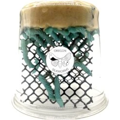 Oregon Silkworms Small Live Hornworms, 25 Count