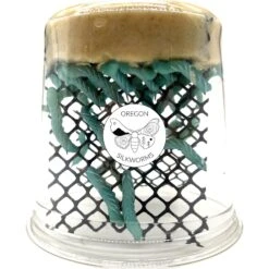 Oregon Silkworms Small Live Hornworms, 25 Count -Pet Supplies Store 505962 PT7. AC SS1800 V1648288884