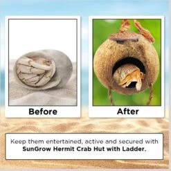 SunGrow Hermit Crab Coconut Climbing Habitat & Hideaway Cage With Ladder 11 SunGrow Hermit Crab Coconut Climbing Habitat & Hideaway Cage With Ladder -Pet Supplies Store 529622 PT3. AC SS1800 V1694718643