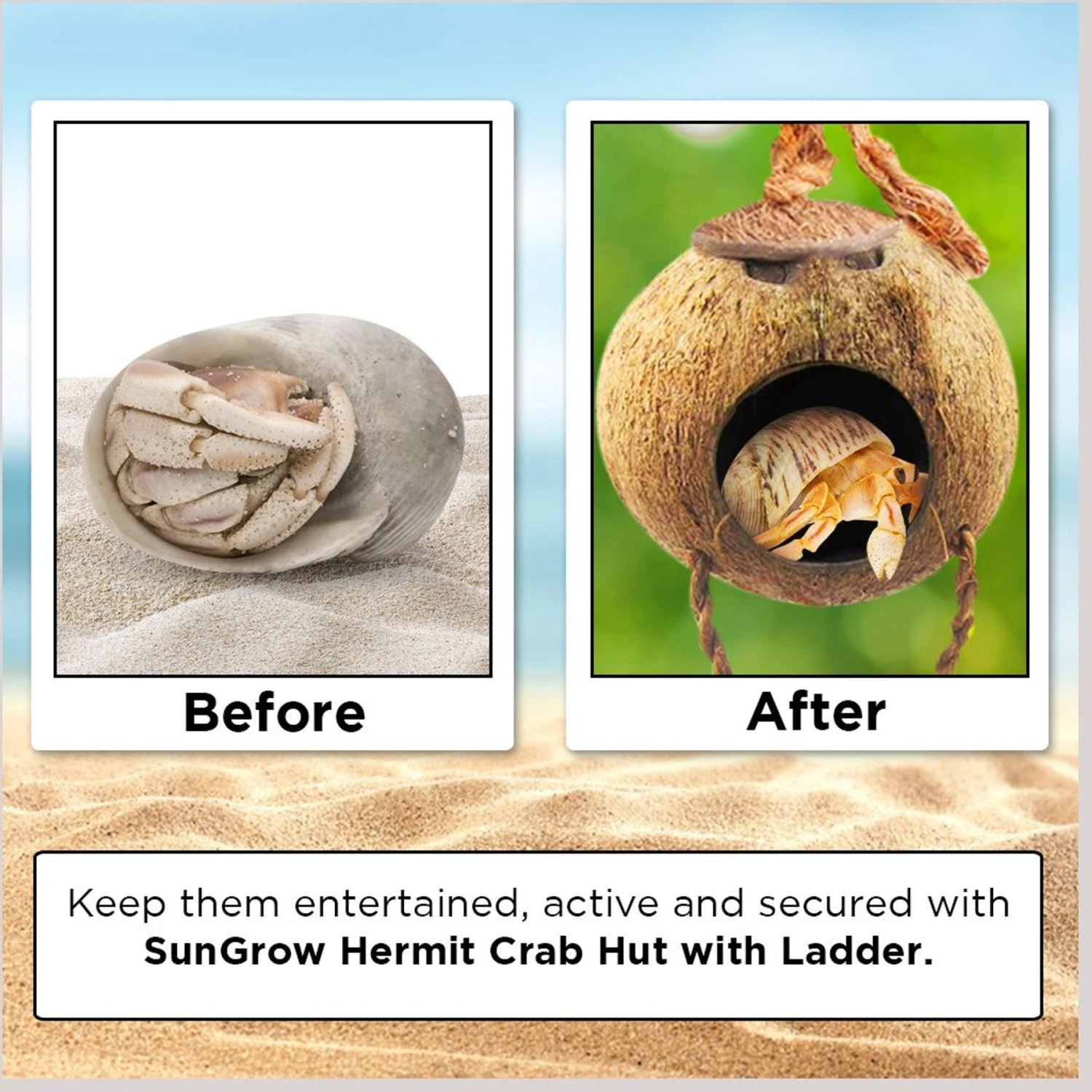 SunGrow Hermit Crab Coconut Climbing Habitat & Hideaway Cage With Ladder 6 SunGrow Hermit Crab Coconut Climbing Habitat & Hideaway Cage With Ladder - Image 4