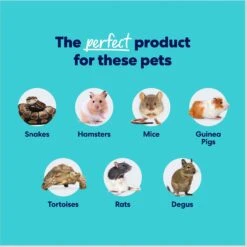 Frisco Aspen Snake Bedding -Pet Supplies Store 537102 PT5. AC SS1800 V1666122313
