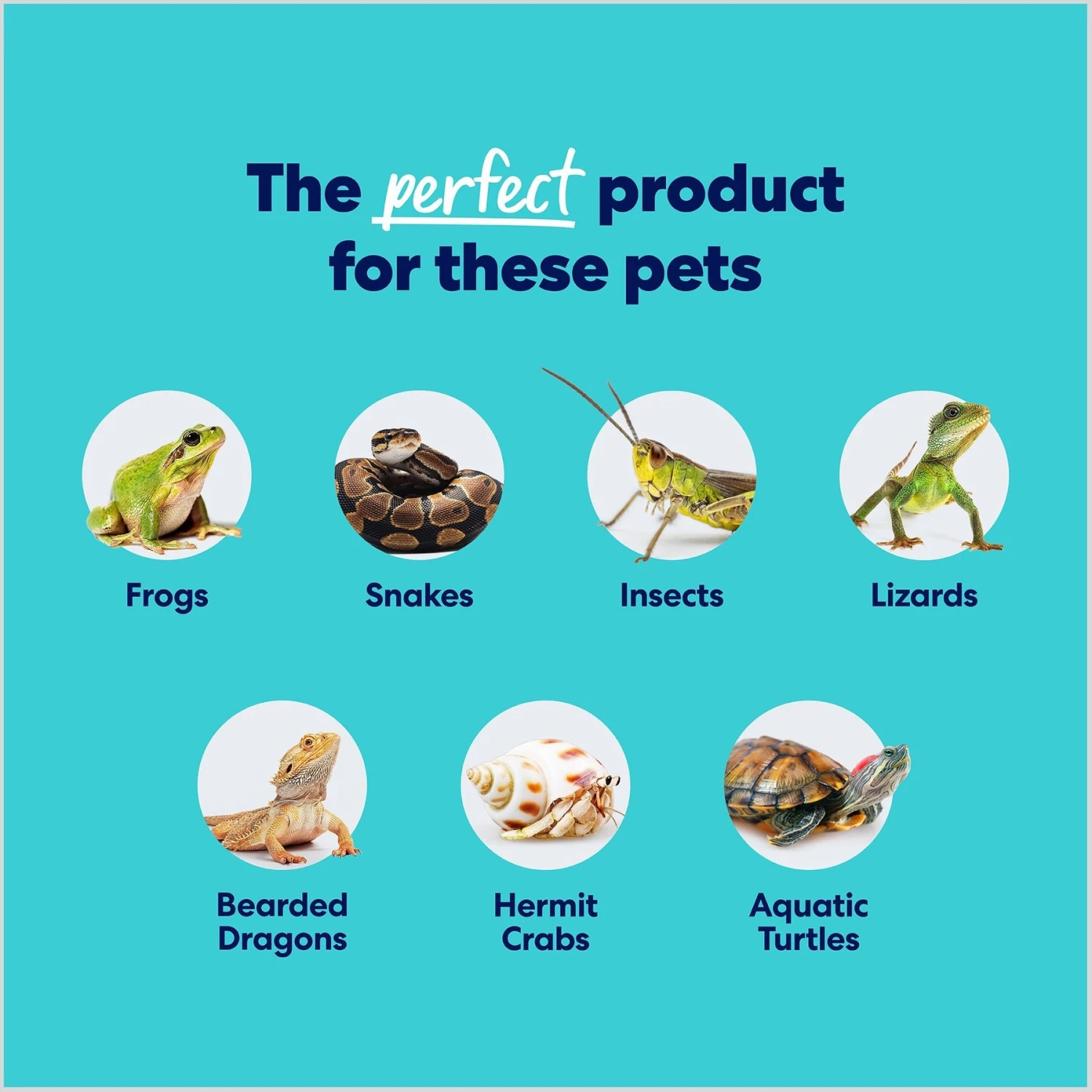 Frisco Fir Bark Reptile Bedding 7 Frisco Fir Bark Reptile Bedding - Image 5