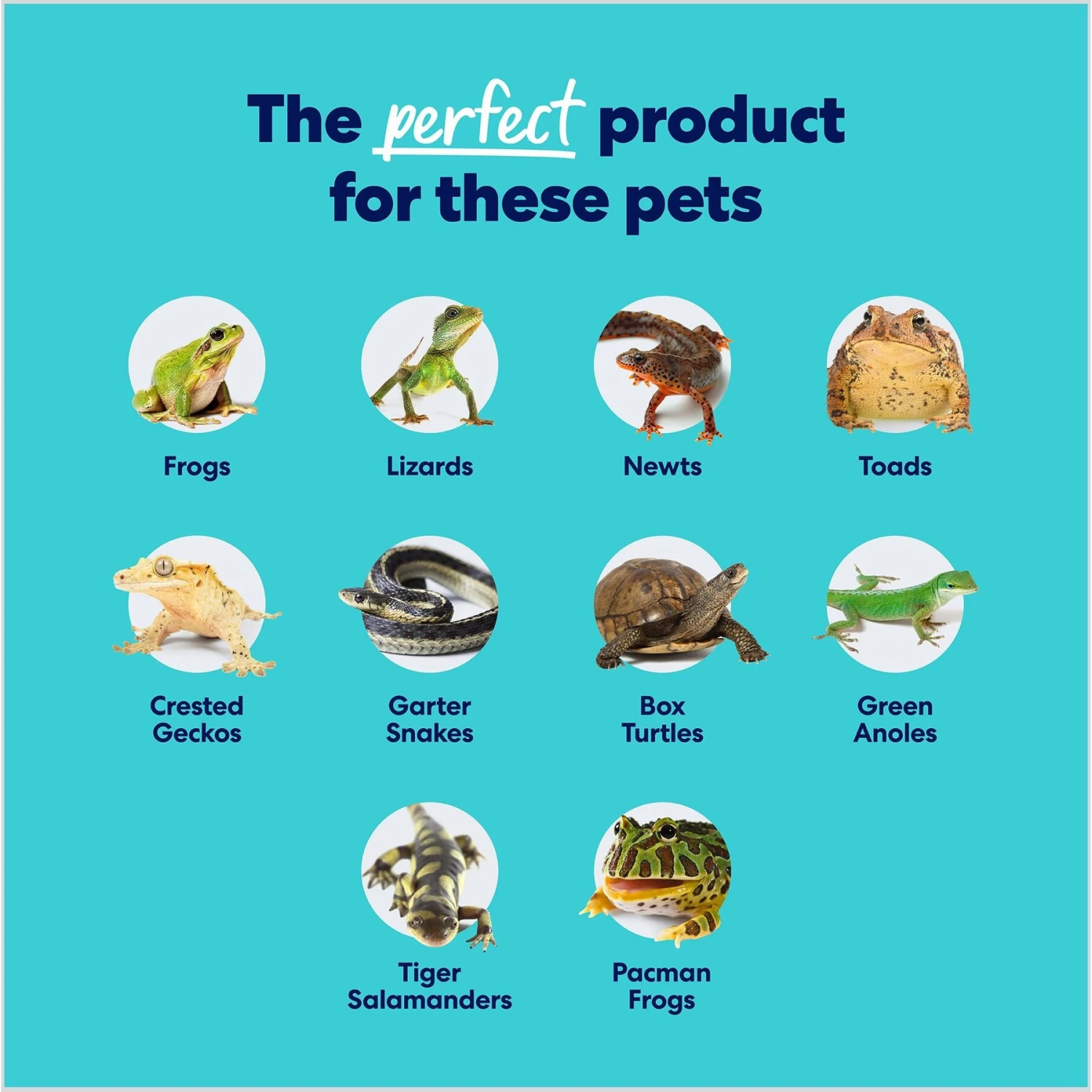 Frisco Coco Coir Reptile Bedding 7 Frisco Coco Coir Reptile Bedding - Image 5