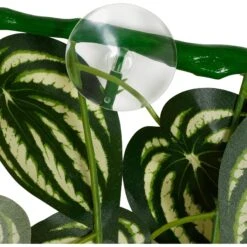 Frisco Artificial Watermelon Terrarium Vine -Pet Supplies Store 537502 PT2. AC SS1800 V1667227668