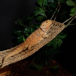 Frisco Woven Reptile Lounging Mat -Pet Supplies Store 537534 PT3. AC SS1800 V1670518610