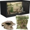 Symton Reptile Terrarium, 120-gal + 2 Items -Pet Supplies Store 538942 MAIN. AC SS1800 V1657658876