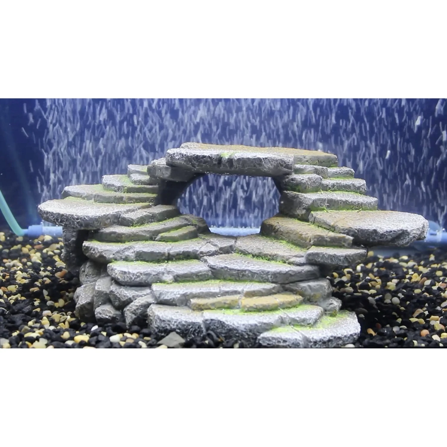 Symton Reptile Terrarium, 120-gal + 2 Items 6 Symton Reptile Terrarium, 120-gal + 2 Items - Image 4